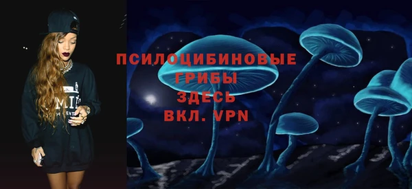 spice Верея