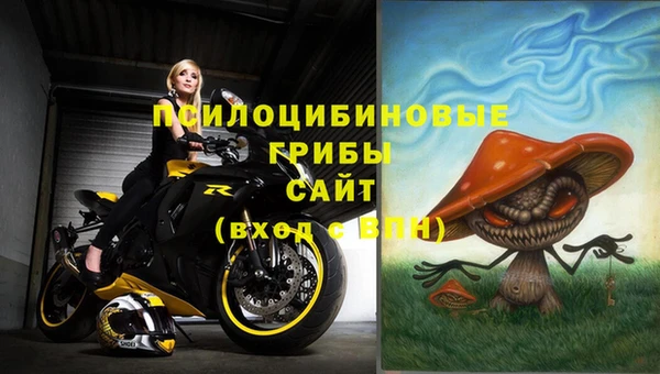 spice Верея